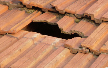 roof repair Skelbo, Highland